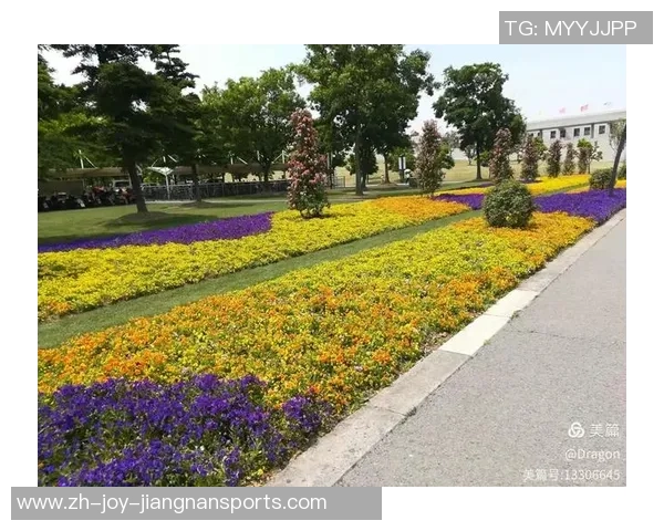 足球场占地约5900平方米的奥秘与价值探讨 足球场占地约5900平方米的奥秘与价值探讨